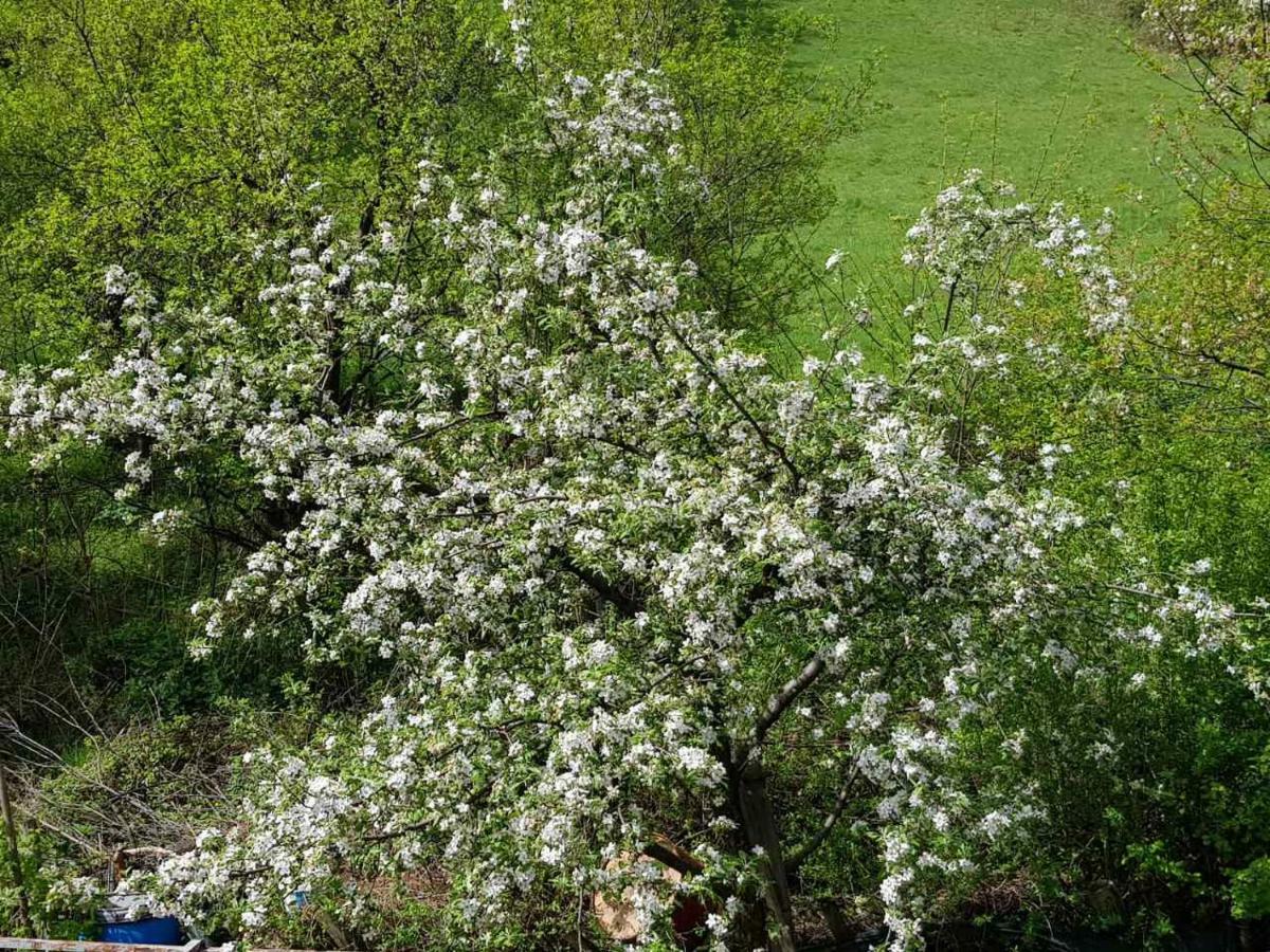 Visoko Homestay Kültér fotó
